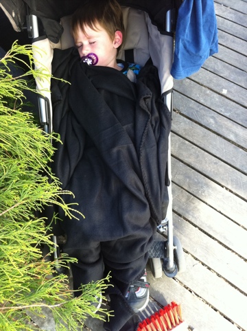 20110416-154456.jpg