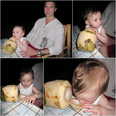 coconut
