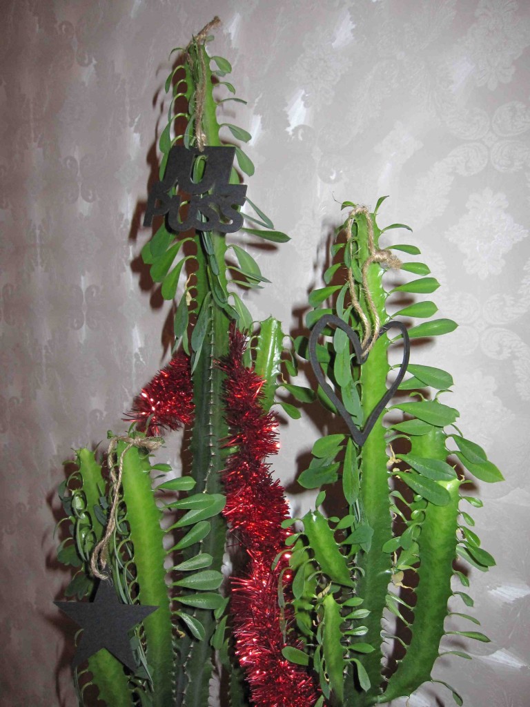 dekorerad kaktus
