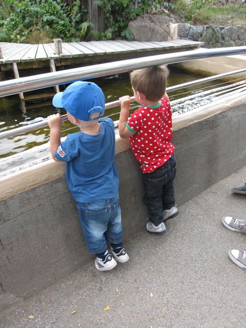 skansen1