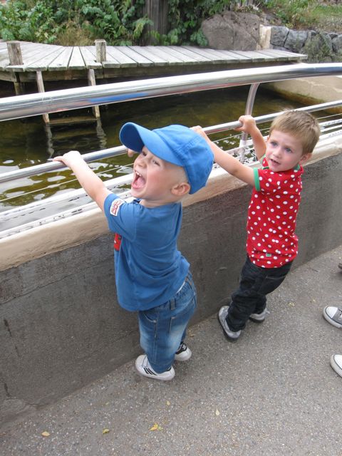skansen2