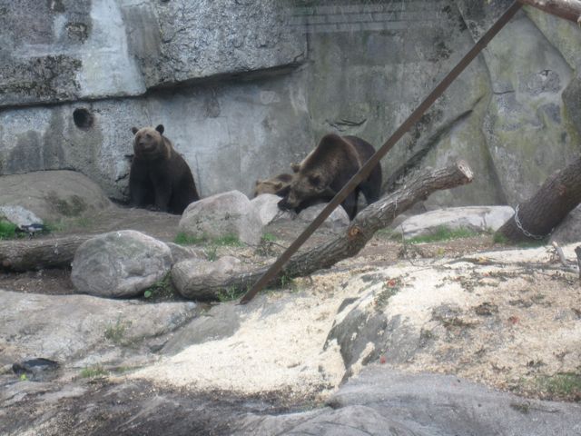 skansen3