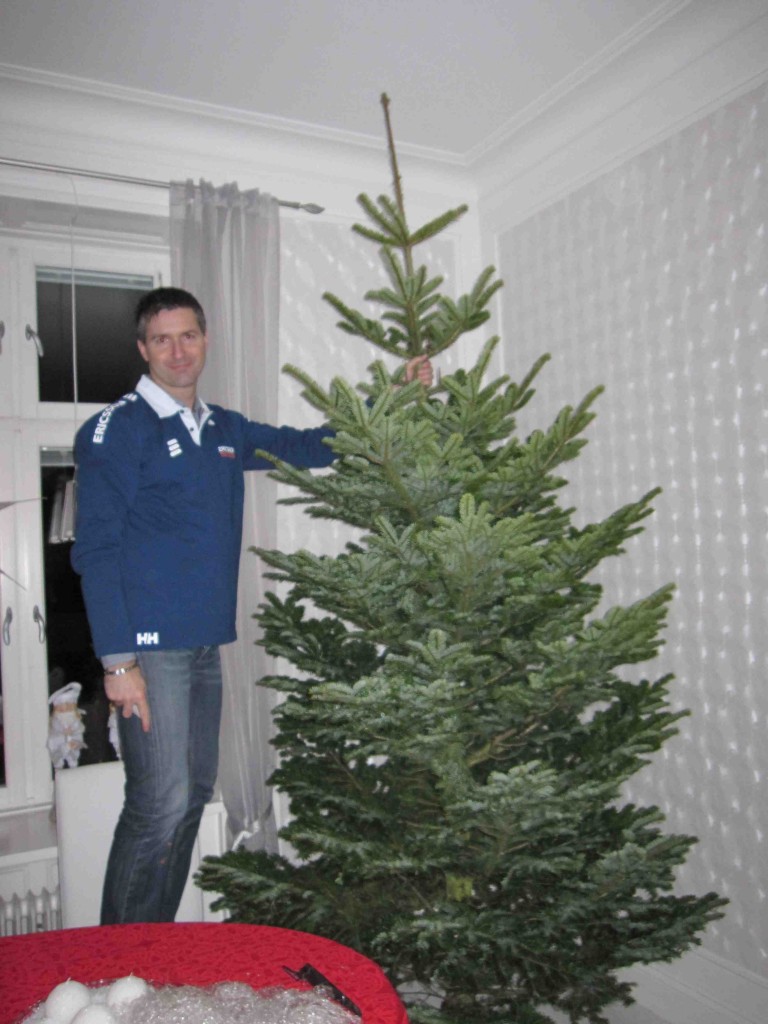 stor julgran